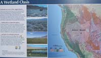 044-Interpretive_Sign-A_Wetland_Oasis