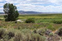 045-scenic_view_of_area