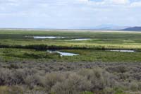 052-marshland_scenery
