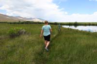 054-taking_a_walk_to_check_out_the_geese