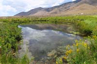 069-pretty_scenery_with_a_pond