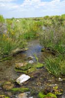 071-pretty_scenery