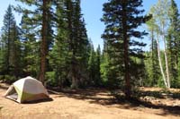 02-nice_forest_view-UT_Hwy_14_about_600_hundred_feet_away-frequent_distant_gunfire