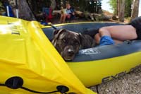 24-Rainier_takes_a_nap_with_Mommy_in_the_kayak