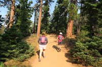 36-nice_forest_starting_the_hike