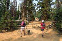 59-path_to_Ice_Cave_after_traveling_on_more_dirt_road