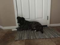 09-Rainier_waiting_at_door_to_garage_for_Mommy_and_Kenny_to_come_back_home