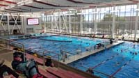 040-Mommy's_unique_view_of_pool_since_training_as_an_official