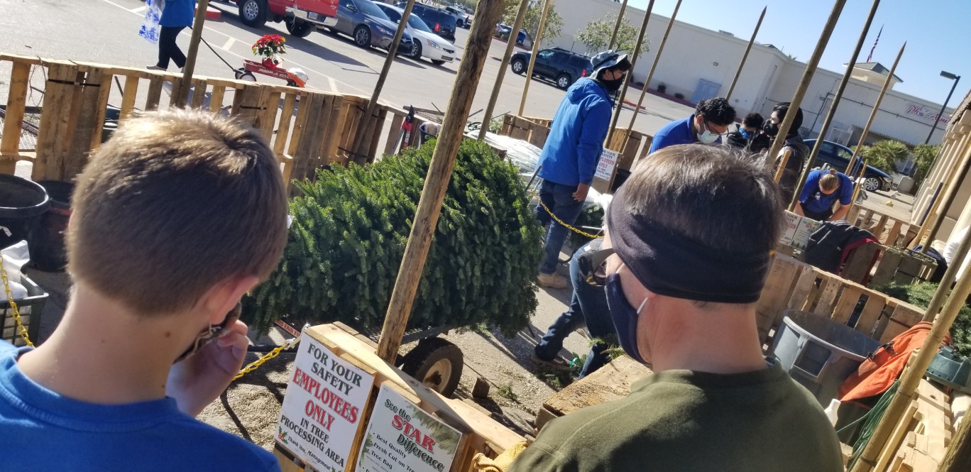 72-getting_the_tree_trunk_trimmed_and_bagged