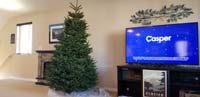 74-our_tree_is_setup_in_the_family_room