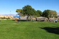 03-after_lunch,check_out_the_bighorn_sheep_at_Hemenway_Park