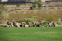 07-group_of_males_hanging_out_together