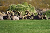 08-group_of_males_hanging_out_together