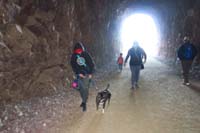 14-Rainier_is_so_happy_to_go_for_a_walk_with_his_pack-he_looks_back_to_make_sure_Mommy_still_there