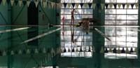 32-Kenny_and_Jack_getting_ready_to_swim_laps_on_their_own_since_no_practice_for_three_weeks