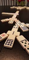 49-spinner_dominoes_fun-played_one_game,Daddy_went_to_bed_since_next_up_for_tour_on_New_Years_Day