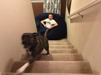 37-Kenny_rests_in_stair_landing_while_Rainier_gets_past_the_obstacle