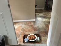 59-Daddy_gets_his_lunch_delivered_on_a_tray_since_self-isolating_until_COVID_test_results-eventually_negative