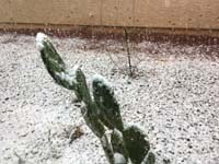 04-1150am-snow_accumulating_fast