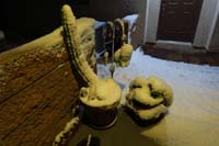 09-cacti_at_front_door_covered_in_snow
