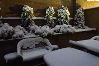 10-backyard_covered_with_snow
