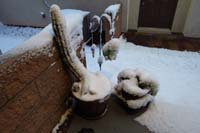 28-cactus_at_front_door_covered_with_snow