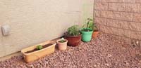 12-Mommy_is_happy_with_her_little_garden-our_attempt_on_the_shaded_side_of_the_house