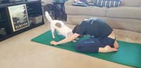 29-Brinkley_gets_into_the_yoga_with_Kenny-downward_dog
