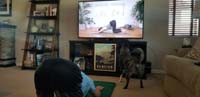 14-Rainier_is_trying_to_figure_out_how_he_can_meet_the_doggie_on_the_TV-HaHa