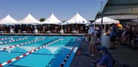 15-getting_ready_to_swim_the_next_race