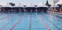 22-in_position_to_start_the_200m_backstroke_finals