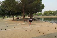 18-Kenny_and_friends_then_went_around_Sunset_Park_Pond_picking_up_trash