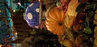 13-Bellagio_Conservatory-Mommy_and_Daddy_went_to_The_Strip_to_meet_visiting_friends