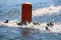 44-swimmers_bunch_up_for_the_turn-gets_competitive