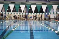 02-dives_in_the_water_to_start_the_race