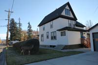 056-another_deer_decided_to_visit_our_place