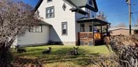 082-back_to_the_house-the_deer_are_still_hanging_out_in_the_yard