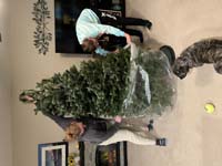 07-setting_up_the_tree_in_the_family_room,Rainier_is_a_big_help,just_don't_pee_on_it