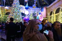 36-beautiful_conservatory_with_more_anti-mask,anti-vax_Trumpers_who_will_call_us_snowflakes_while_thinking_they_are_good_Christians