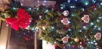 37-Christmas_Tree_on_the_train