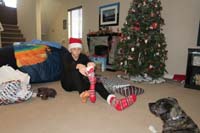 28-he_likes_his_new_Christmas_socks-hopefully_he_won't_outgrow_them_too_quickly