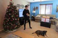 08-New_Years_Day_morning-taking_down_Christmas-Kenny_is_a_big_help,but_Rainier_is_not