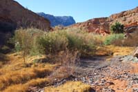 22-view_up_the_drainage_from_our_rest_area