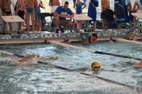 60-Kenny_warming_up_in_the_pool